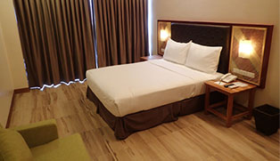 hotel type / Standard  Queen bed Room